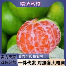 【云南蜜橘】一件代发青皮蜜橘酸甜可口欢迎各地电商找我合作