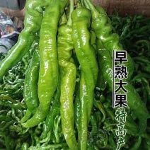 螺丝椒产地大量有货，支持商超电商平台量大从优。