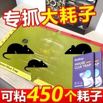 德国老鼠贴强力灭鼠板粘鼠板老鼠夹老鼠笼捕鼠克星神器家用款
