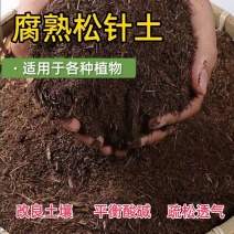 松针土/腐殖土/营养土/粉碎松针/育苗基质/腐熟干松针