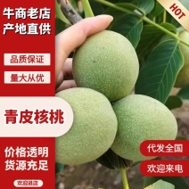 精品青皮核桃杂果产地直发品质保证量大从优全国发货