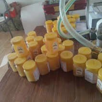 精品蜂蜜土蜂蜜品质保证诚信经营价格实惠
