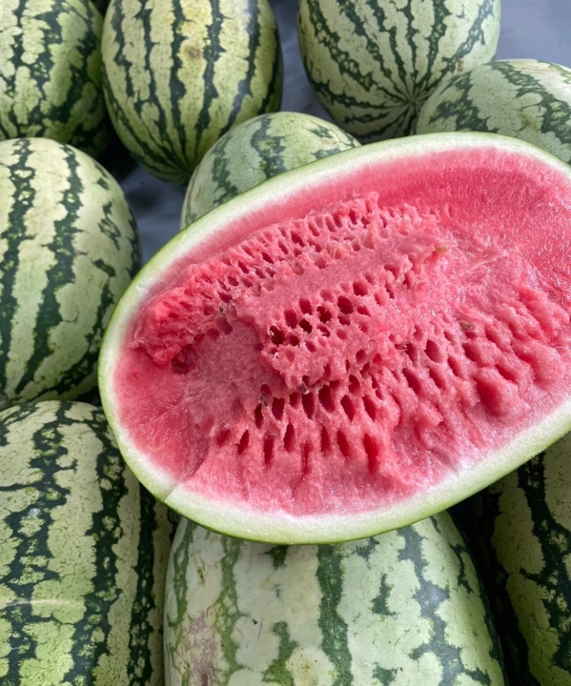 硒砂瓜中卫石缝瓜甜度高汁水多包熟包甜代发全国