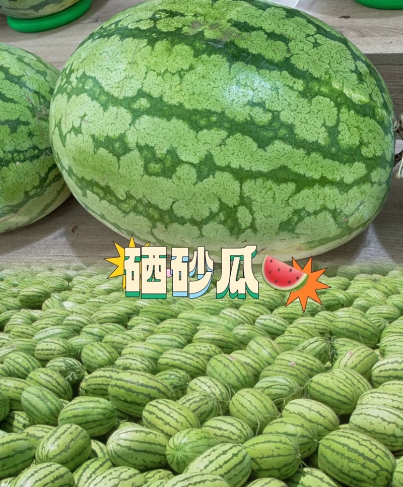 硒砂瓜中卫石缝瓜甜度高汁水多包熟包甜代发全国