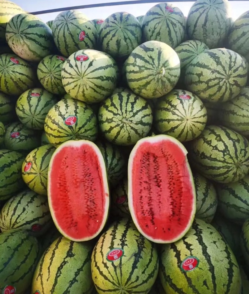 硒砂瓜中卫石缝瓜甜度高汁水多包熟包甜代发全国