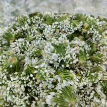 山东基地韭菜花下来了，质量不错，需要的老板联系