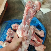 龙大后腿骨