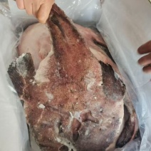 1吨多点，去脏安康鱼，清库处理出口质量