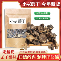 小灰蘑菇承德特产野生小灰蘑今年新货天然晒干灰榛蘑包邮