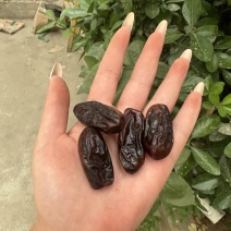 （优选）伊朗黑椰枣，一手货源，直供电商平台.支持代发批发