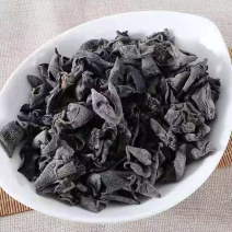 东北黑木耳，常年供应各大电商，货源充足，全国发货。