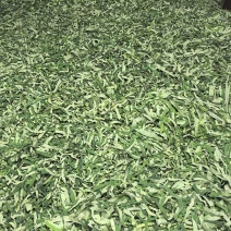 干荷叶荷叶茶