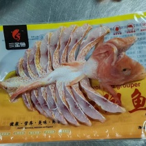 开背红斑鱼功夫红斑鱼