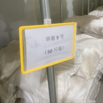 全年供应木薯（冻薯、鲜薯）