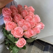 戴安娜玫瑰鲜花花期超长鲜花花花束家庭家用插花云南基地直发速发