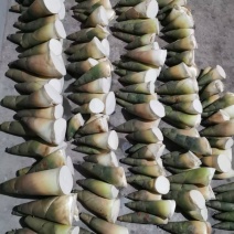 内江大量供应麻竹笋货源充足，量大从优，一手货源