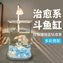 透明小鱼缸冰晶石桌面创意生态斗鱼缸珍珠碎钻景观缸装饰造景全套