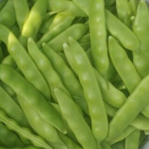 吉林基地油豆角大量上市，保质保量！全国代发！