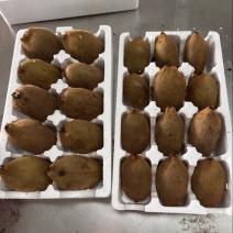 徐香猕猴桃好吃，对接团购电商，快递代发，一件代发，口感