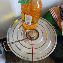 菜籽油