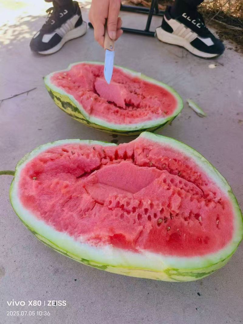 宁夏硒砂瓜石头瓜口感嗄嗄甜大吨位代收代发全国市场