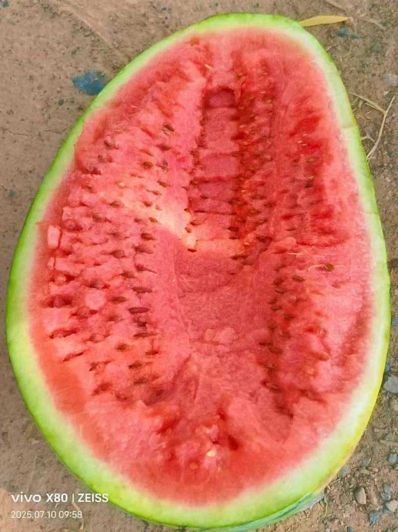 宁夏硒砂瓜石头瓜口感嗄嗄甜大吨位代收代发全国市场