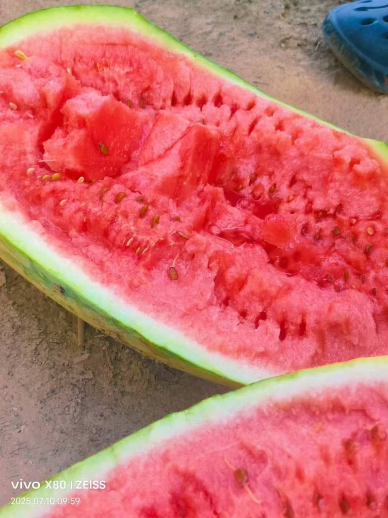 宁夏硒砂瓜石头瓜口感嗄嗄甜大吨位代收代发全国市场