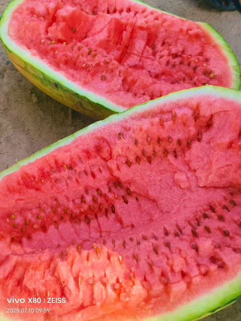 宁夏硒砂瓜石头瓜口感嗄嗄甜大吨位代收代发全国市场