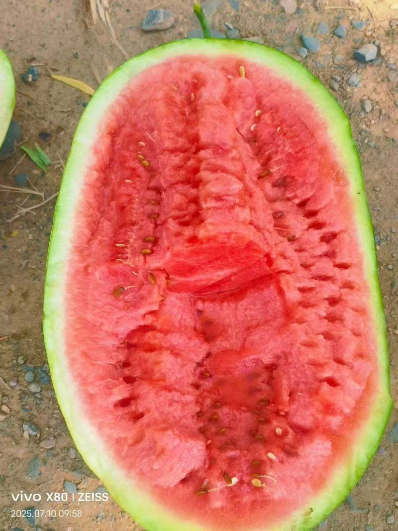 宁夏硒砂瓜石头瓜口感嗄嗄甜大吨位代收代发全国市场