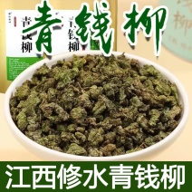 修水青钱柳原叶青钱柳江西青钱柳金钱柳茶采摘的