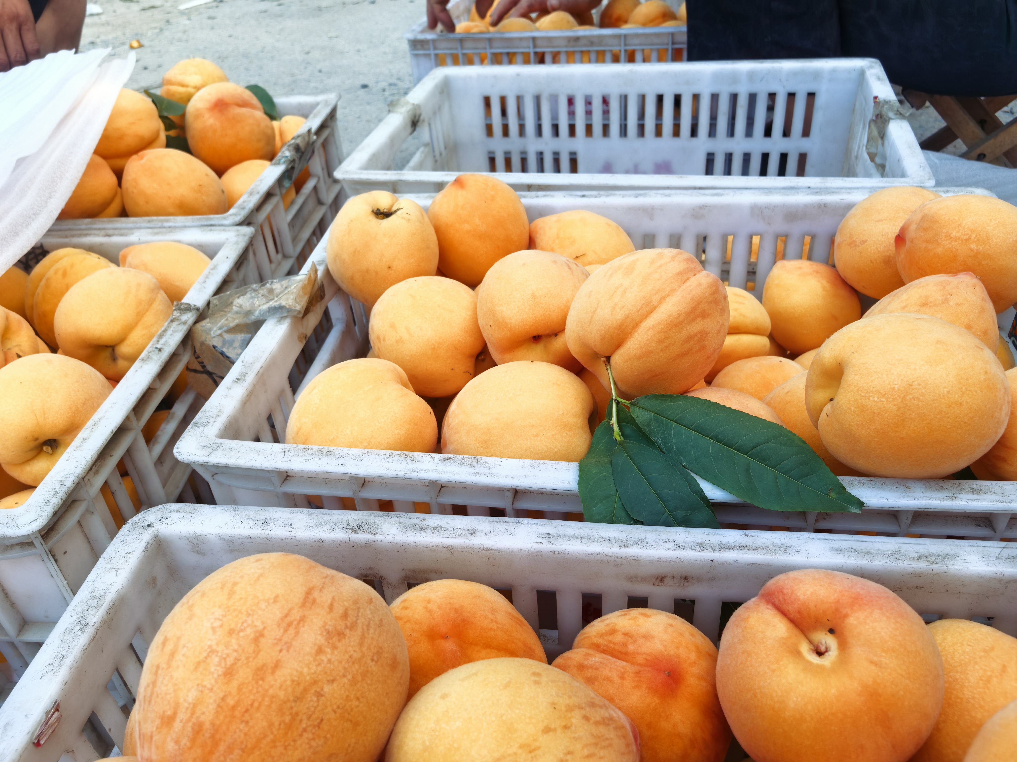 南果梨市场销售场景