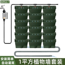 森林盒子多功能简约悬挂自动灌溉植物墙花盆套装绿色家庭阳台