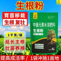 植物通用生根粉移栽扦插小苗生根强健根系冲施滴灌生根剂