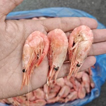 北极甜虾