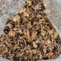东北特产级非野生精品榛蘑干货山珍非特级包邮