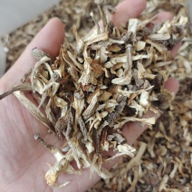 东北特产鹿茸菌大碎块干货包邮非野生非特级新鲜