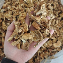 东北特产滑子蘑大片非野生非特级口感鲜嫩包邮