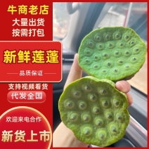 新鲜莲蓬品质保证服务周到产地直发价格美丽