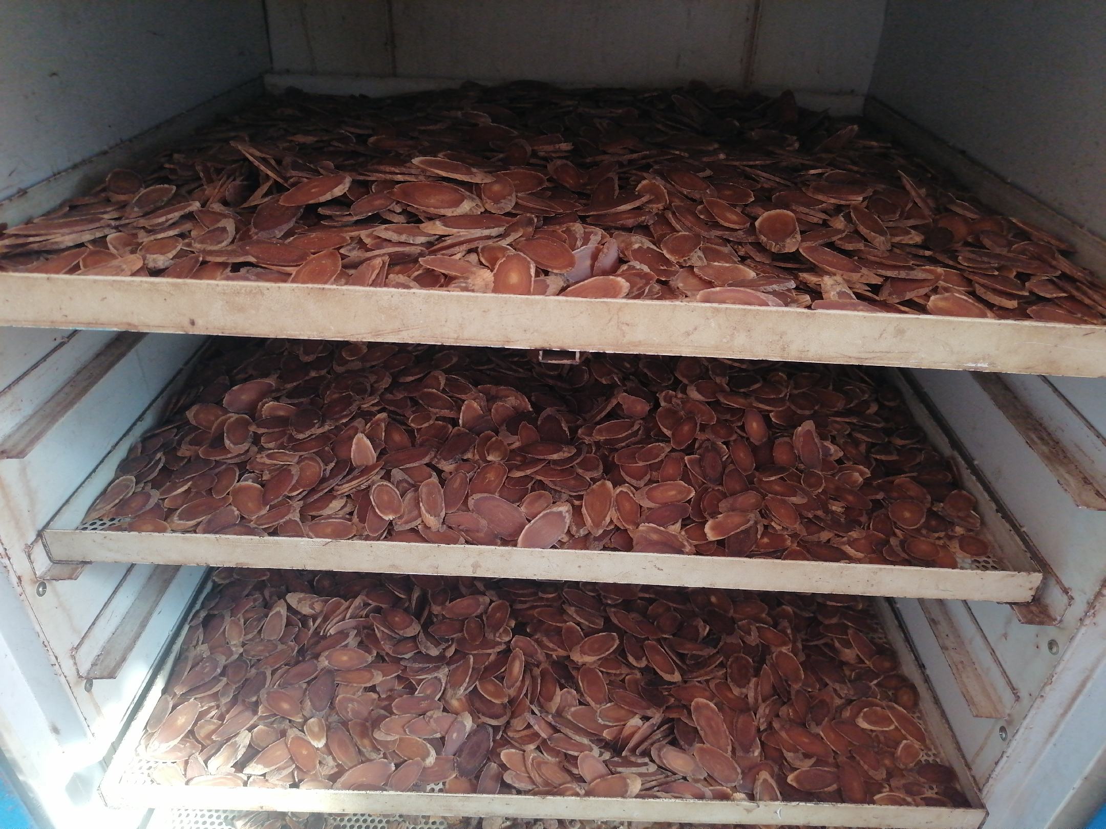 干制红参保存方式