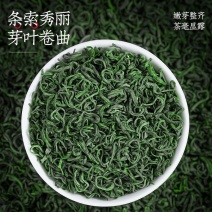 恋凝香精选毛尖绿茶正宗茶叶2025新茶明前手工采摘浓香耐泡型