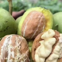 青皮核桃