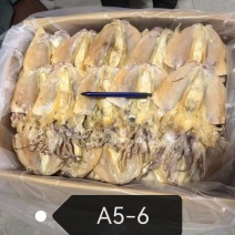 浙江本港墨鱼干5-6品质好，规格齐全，量大从优