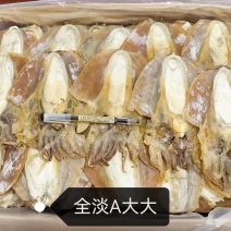 墨鱼干特大精品，产地直销浙江东海全淡水。全国走货。