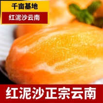 25年云南天山雪莲果正宗黄心红心特级大果中果小个现货便宜学生