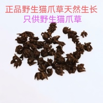 野生猫爪草，精细挑选，欢迎选购