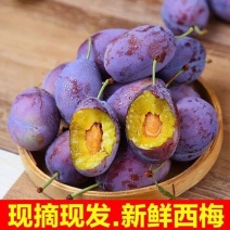 西梅一件代发对接各大电商快手抖音视频号拼多多