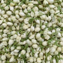 茉莉花干茉莉花雷2025年茉莉花苞
