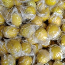 广东香黄果一级，口味可比优力克黄柠