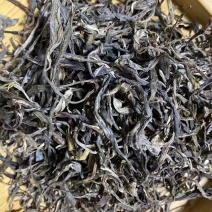 云南普洱茶
