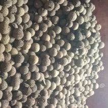 荔枝干